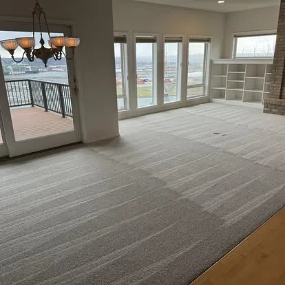 Carpeted Living Room after professional cleaning